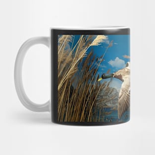 Natural environment diorama - a mallard  flying in the sky Mug